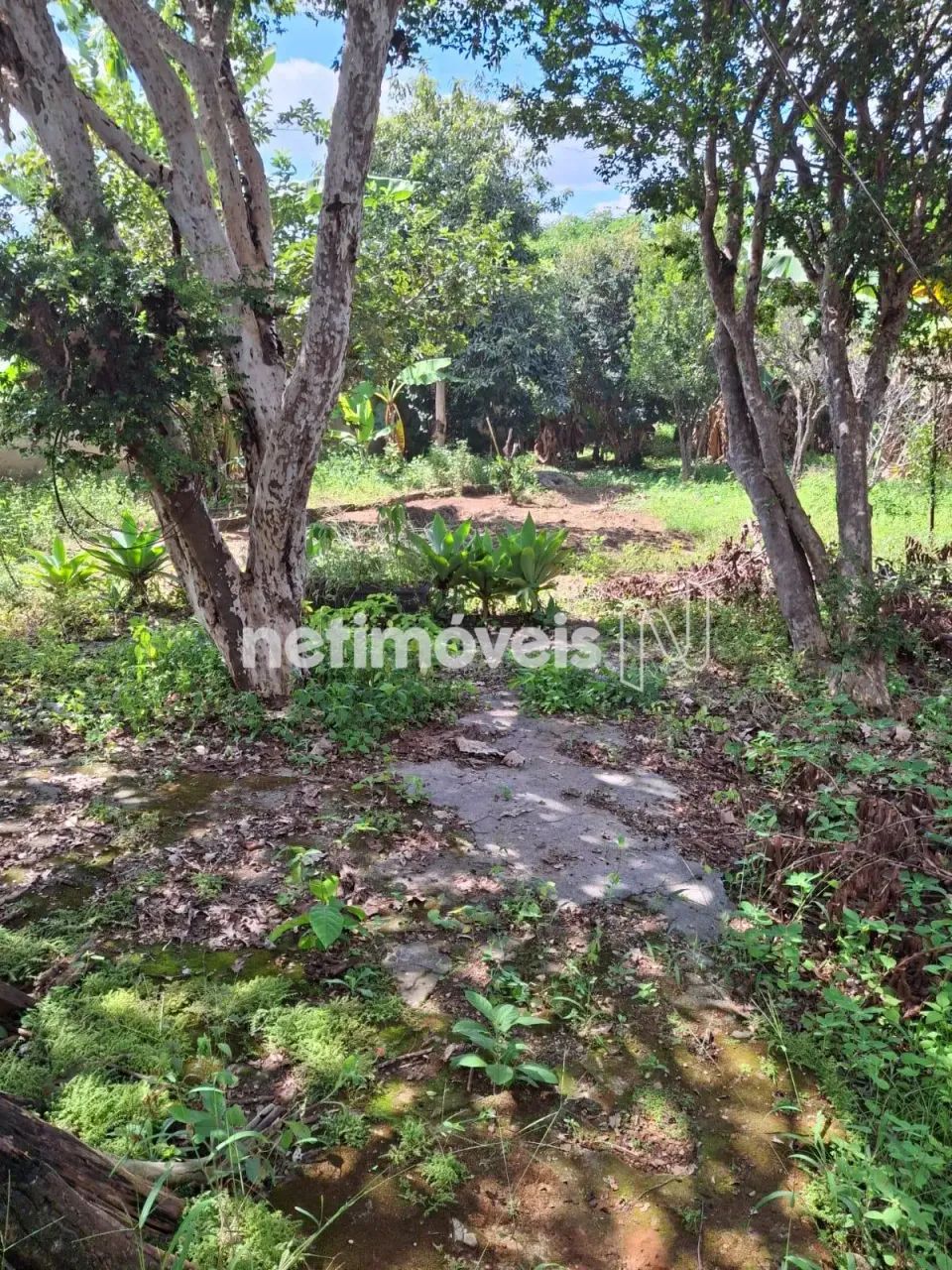 Venda Casa Ascenção Pará de Minas - Foto 5