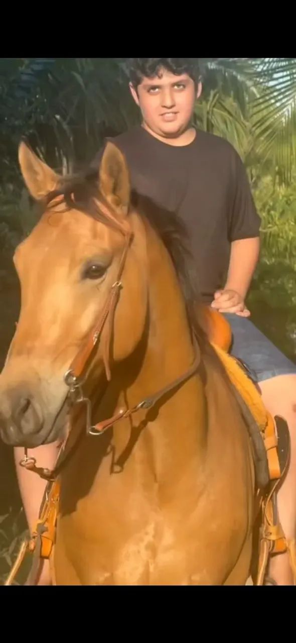 Cavalo quarto de milha  - Foto 2