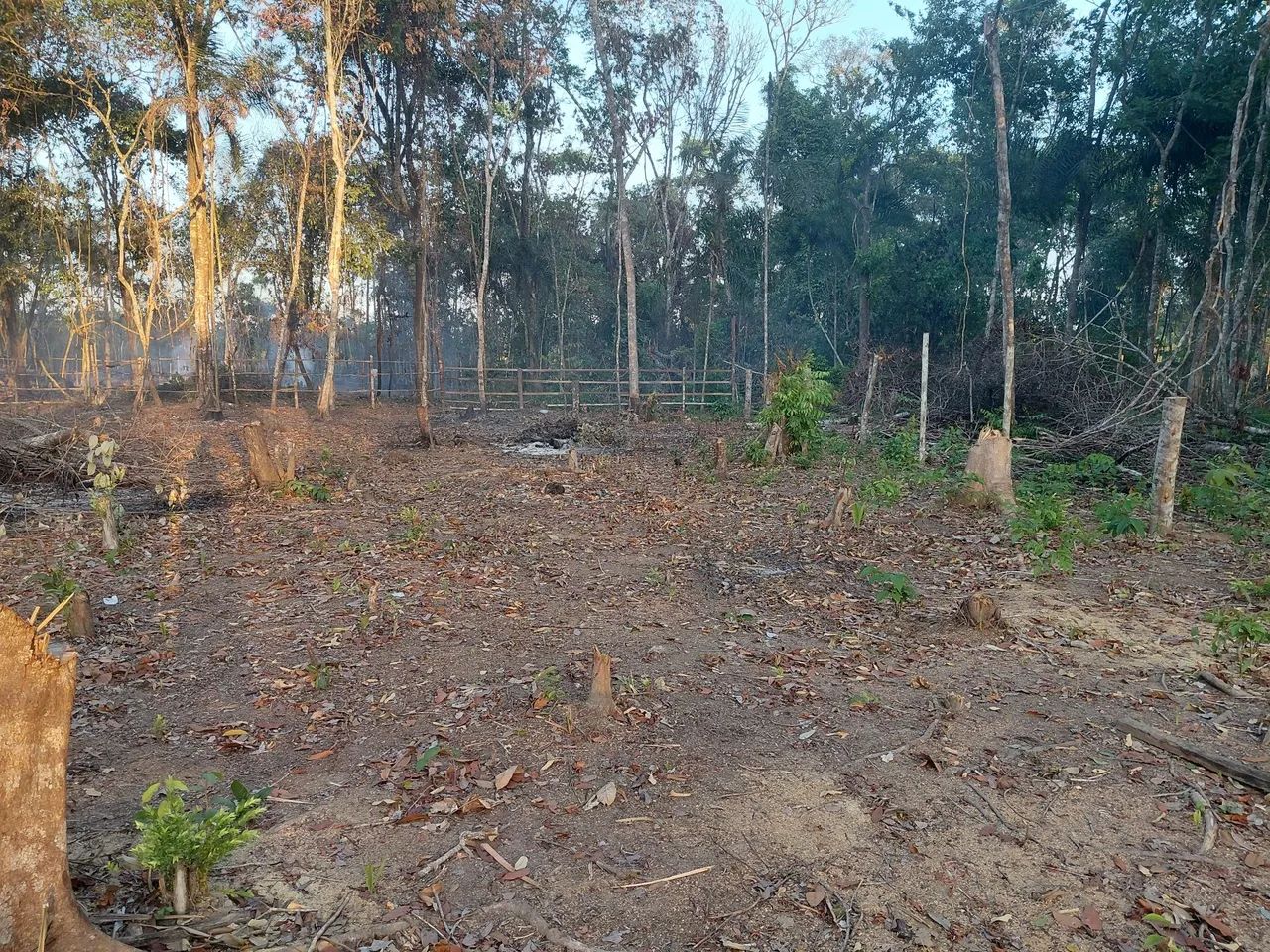 Terreno goiabal  - Foto 4