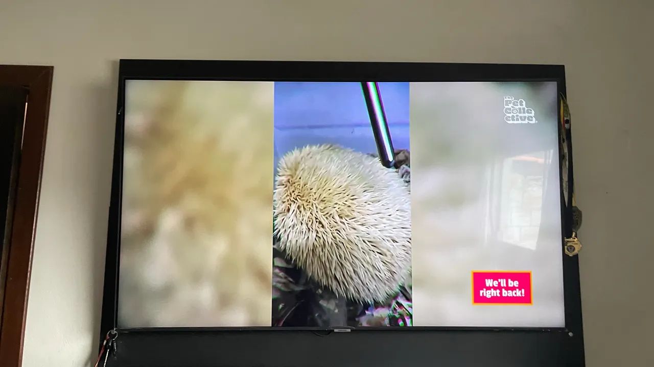 SMART TV 55 SAMSUNG - Foto 3