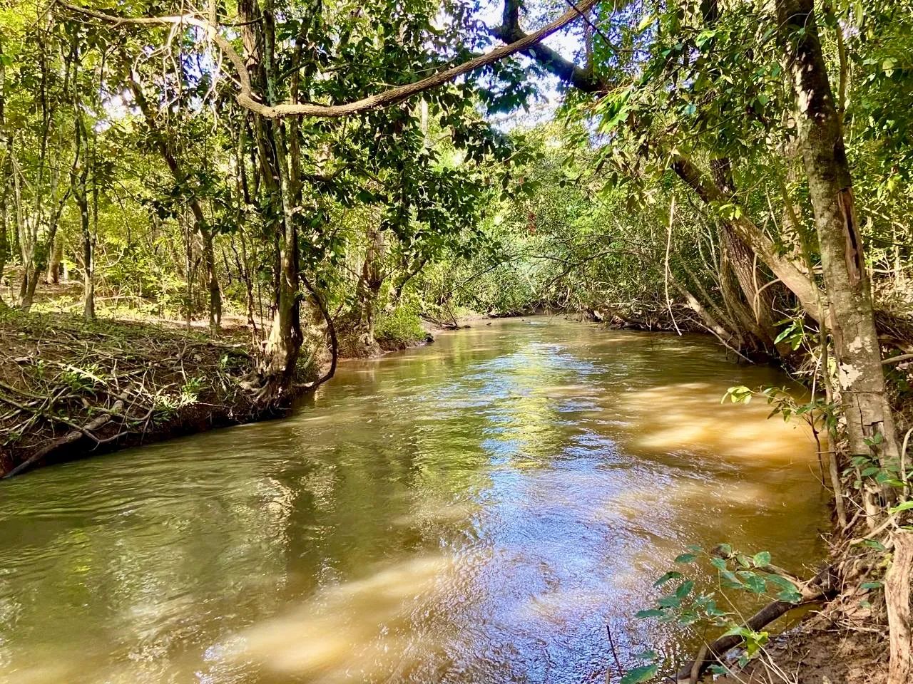 Chácara às margens do RIO URU - (a vista ou parcelada)