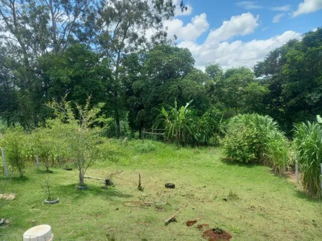 Chácara vila Vitória  - Foto 4