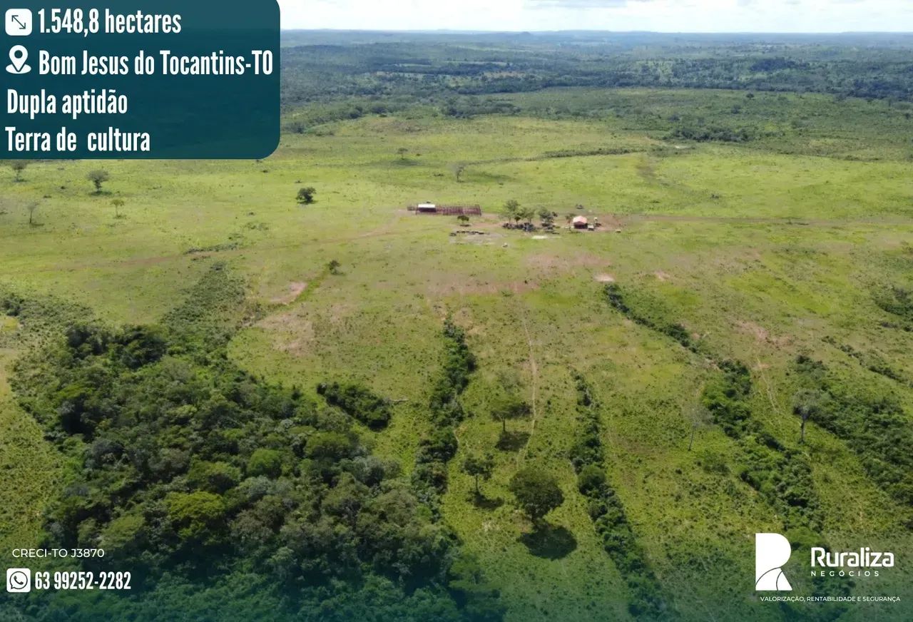 900 RESES/ANO | 320 ALQUEIRES | 850 HA FORMADOS