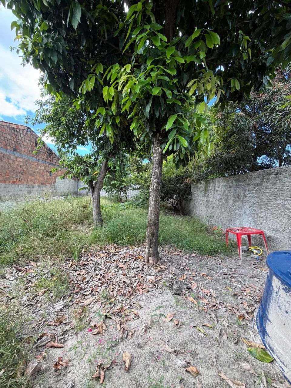 Terreno em terra caída  - Foto 4