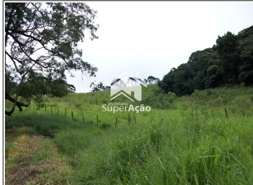 ÁREA RURAL COM 49.000 m² EM CAMANDUCAIA/MG. - Foto 4
