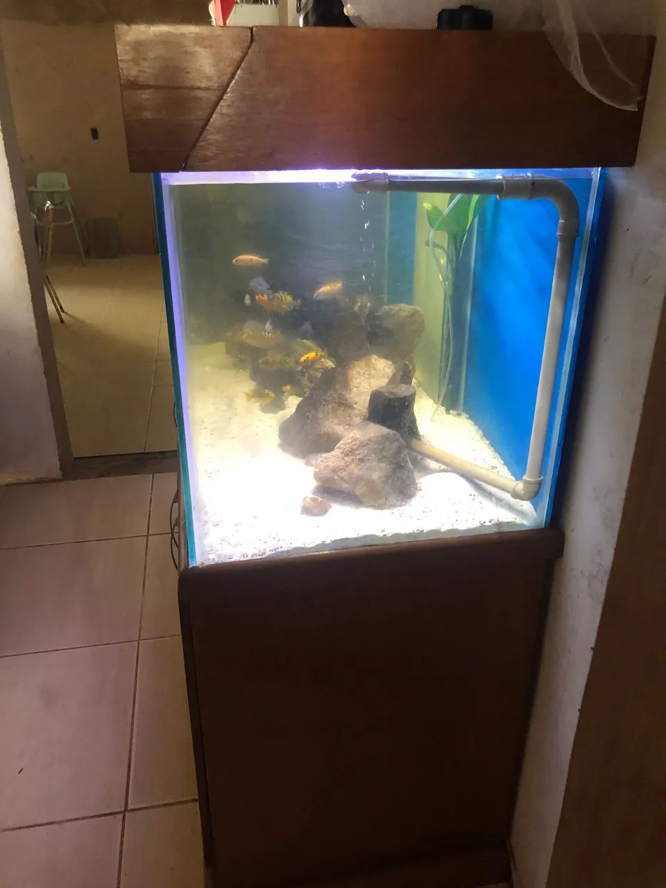 Aquário  - Foto 2