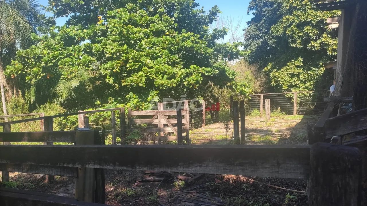 Vendo sítio em Bela Vista - Foto 2