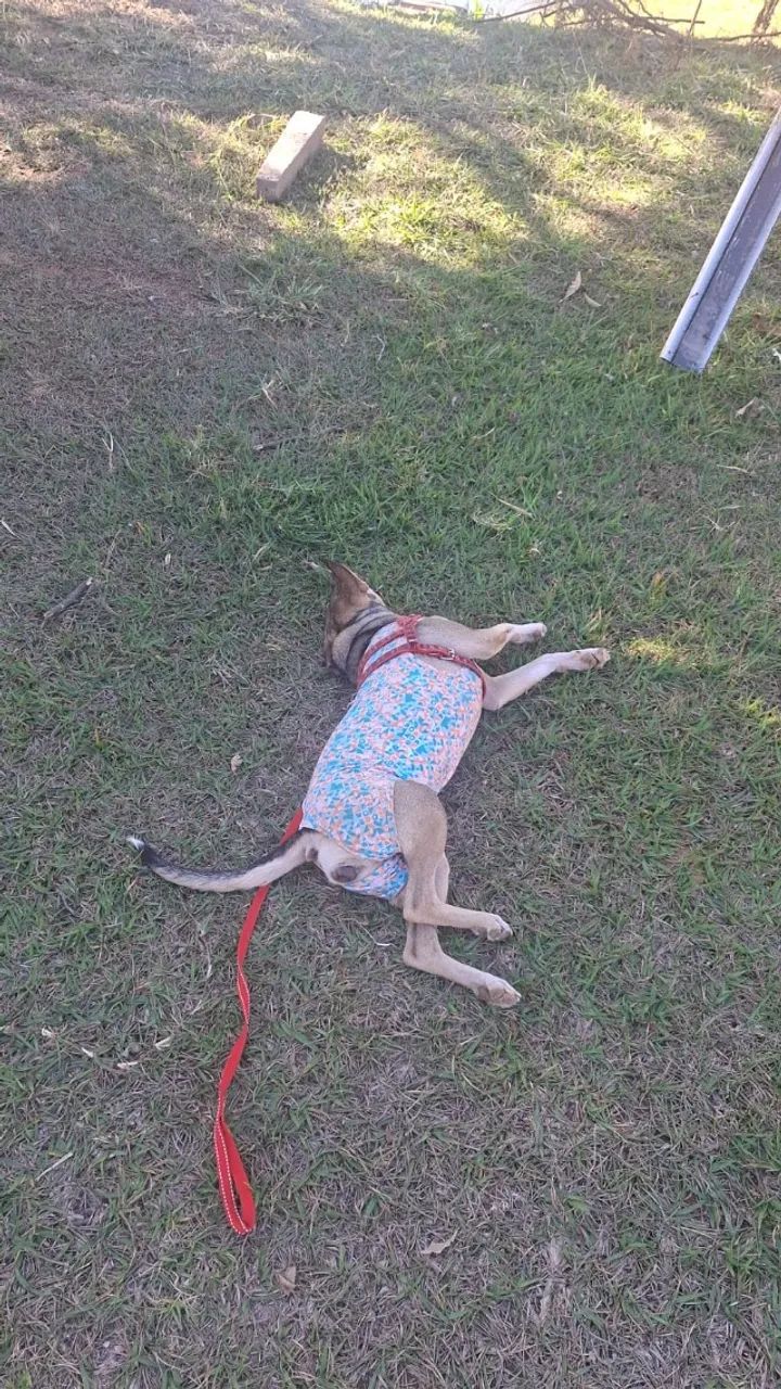 Doação  - Foto 2