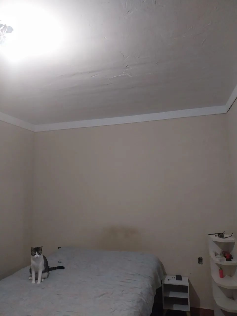 Vende se - Foto 4
