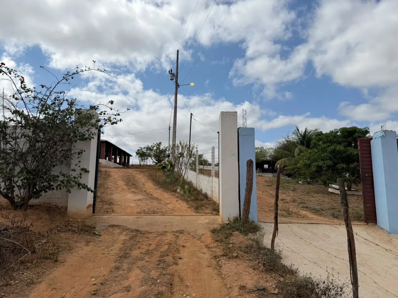 Chácara situado no povoado ingassu  - Foto 3