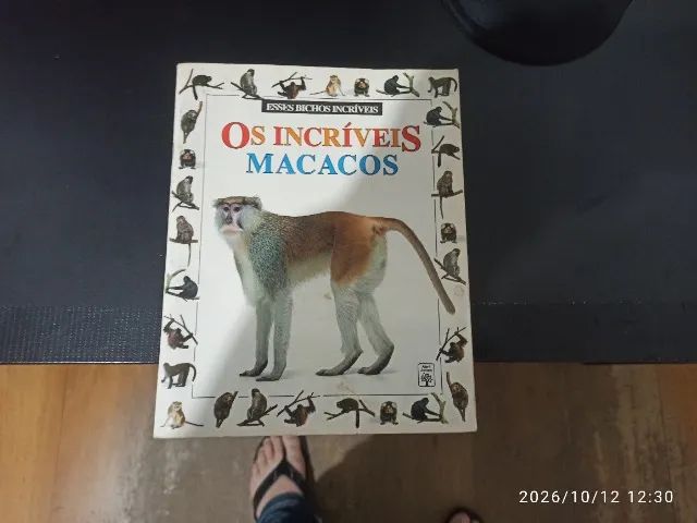 Álbuns infantis colecionador - Foto 4