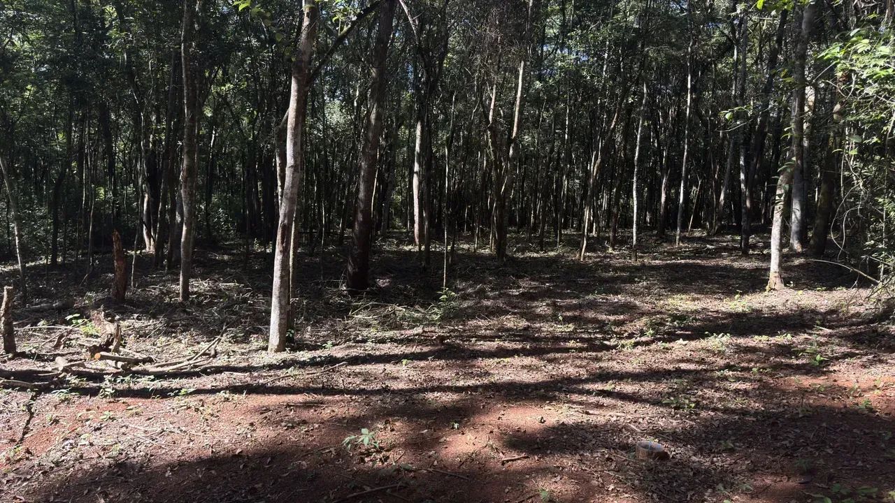 Lotes no Quintas da Boa Vista em Brumadinho de 1.000 metros - Exclusivos! - Foto 8