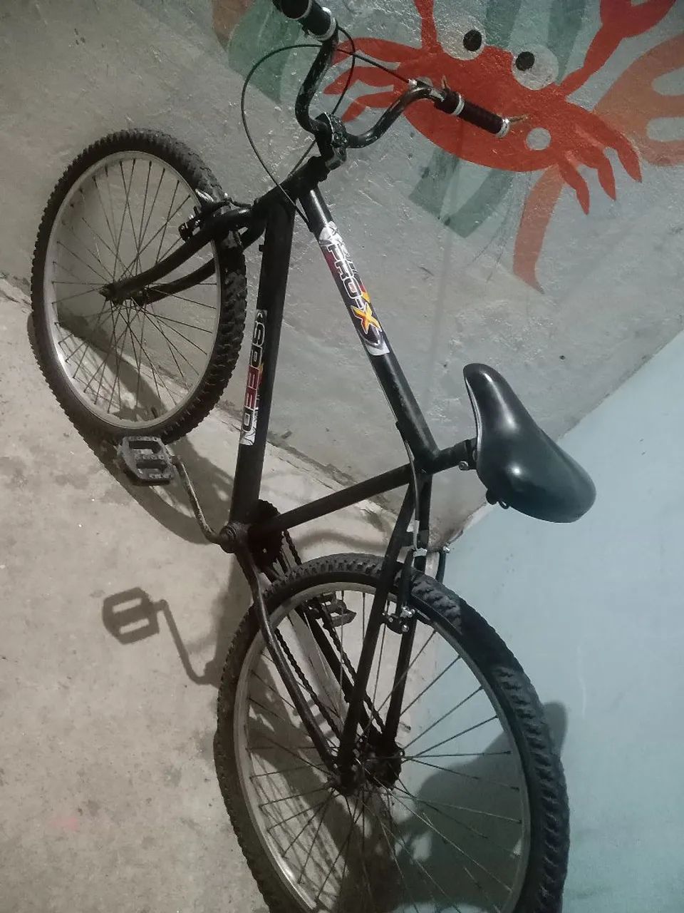 Bicicleta