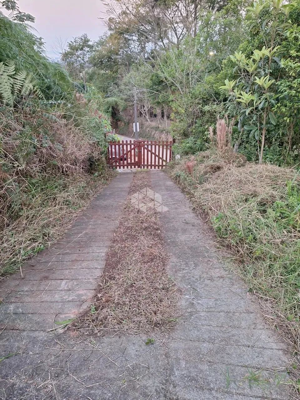 SÍTIO EM PALHOÇA SC, BAIRRO SÃO SEBASTIÃO À VENDA. BAIXOU O PREÇO, 15 MIL REAIS DE DESCONT - Foto 4