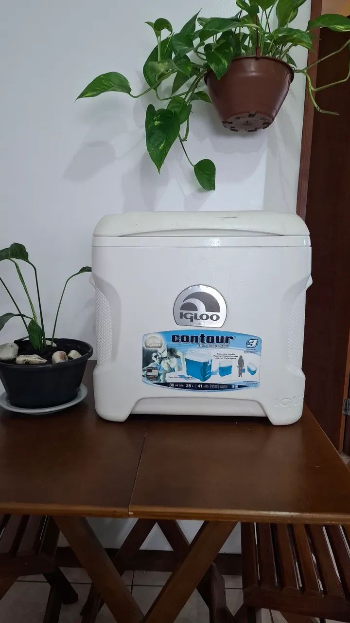 Cooler Igloo 28L - Foto 3