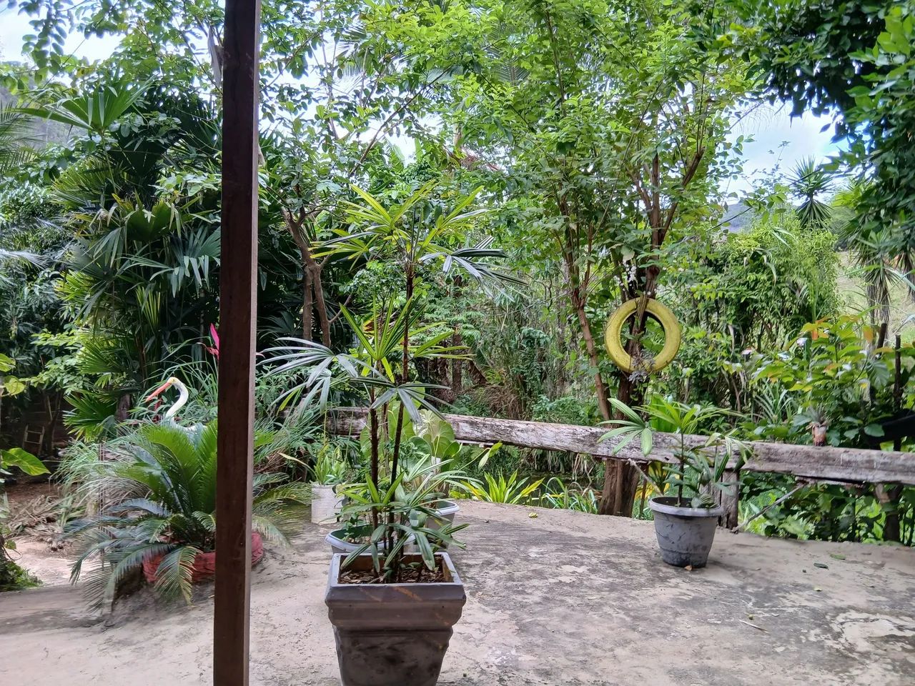 Vendo chácara capela Branca  - Foto 4