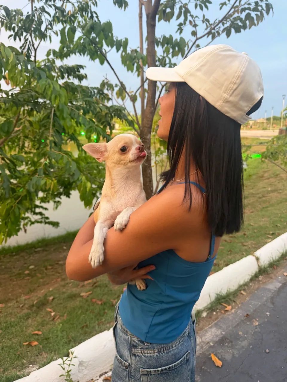 Cachorro - Foto 2