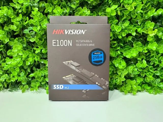 SSD HIKVISION E100N, 256GB, M.2 SATA 3
