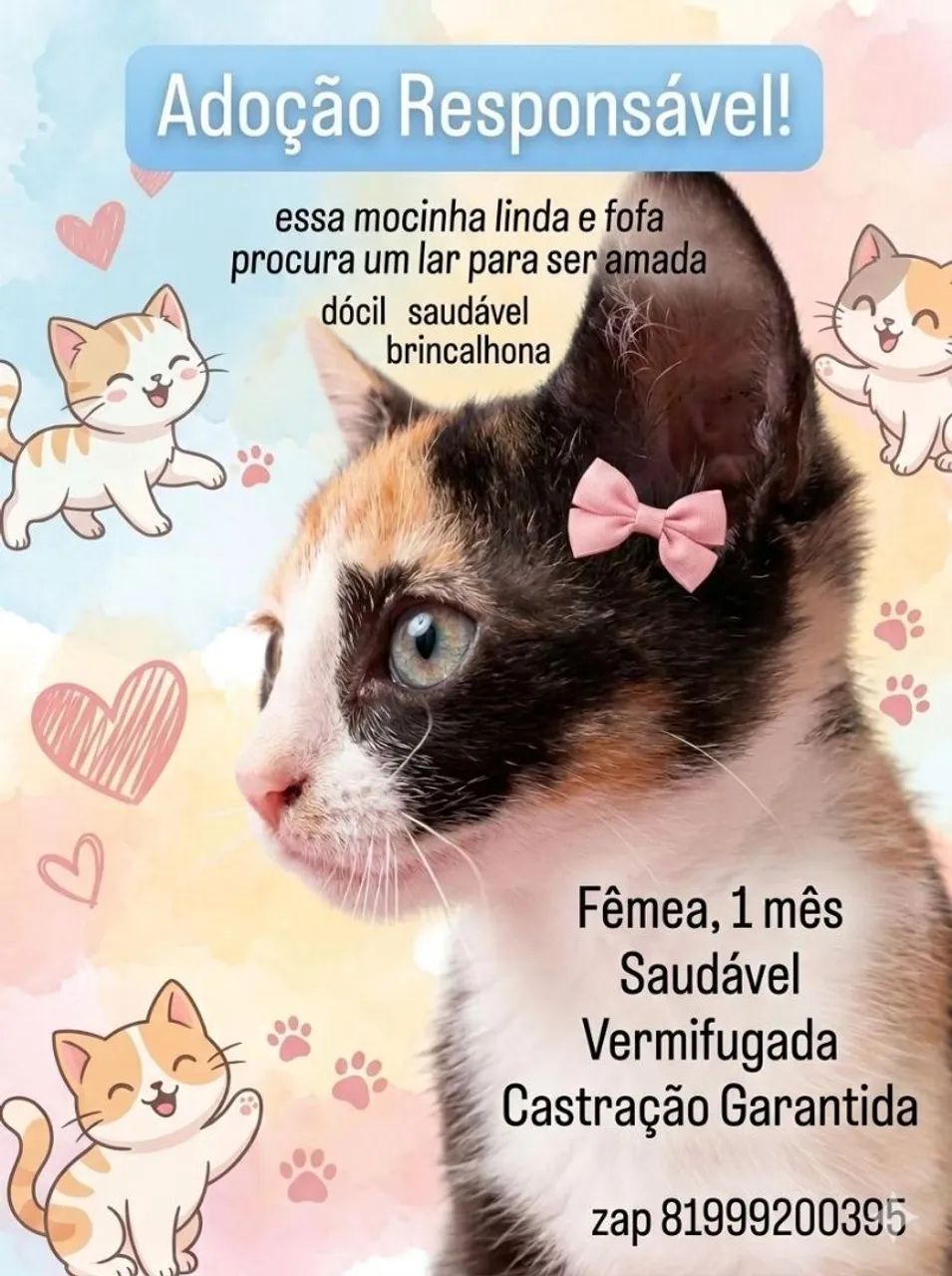 ADOÇÃO RESPONSÁVEL  - Foto 3