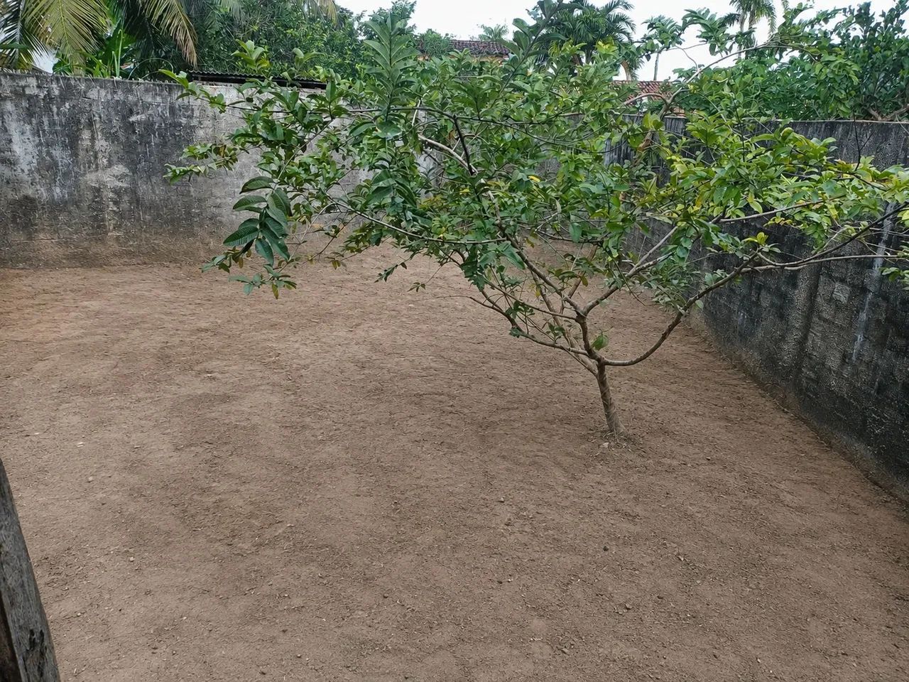 Casa em são João ....