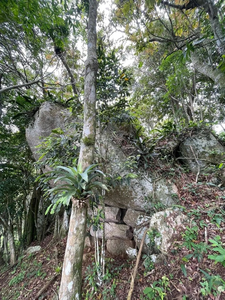Terreno 7.652 m² com vista no Morro do Ribeirão, Garopaba, SC - Foto 2