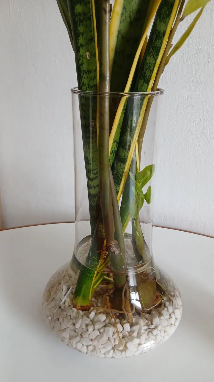 Vaso de vidro  - Foto 3