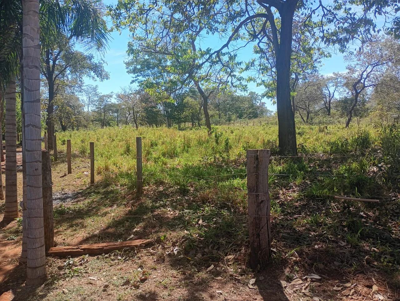 vendo troco chácara no santa mônica  - Foto 5