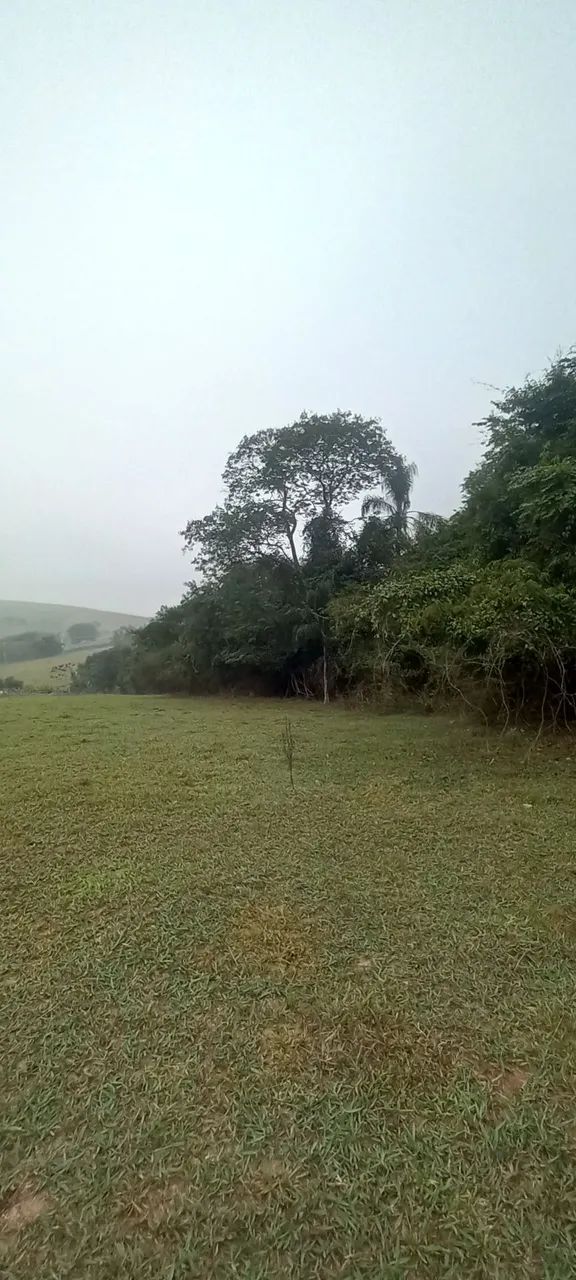 Hotelaria equina - Foto 3