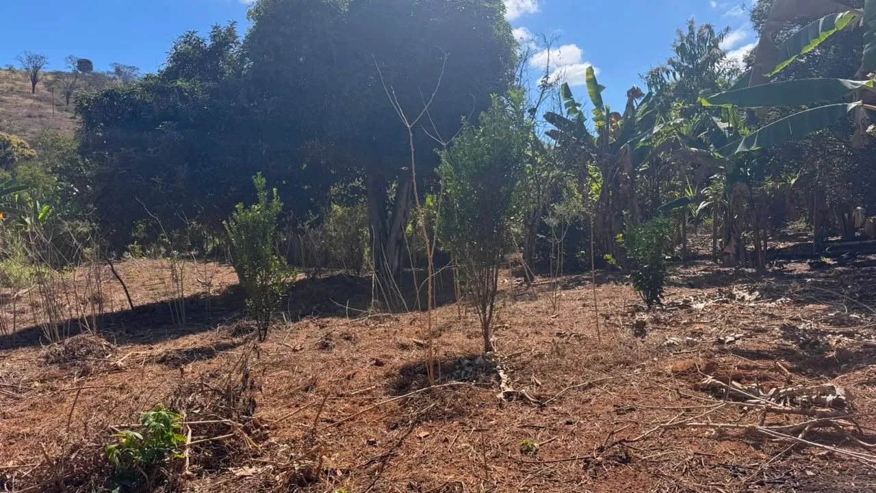 LOTE BAIRRO BOA ESPERANÇA  - Foto 5