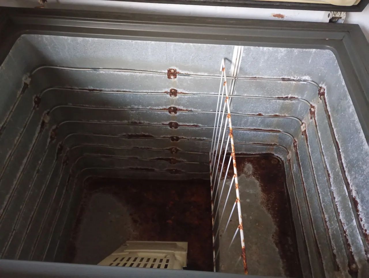 Freezer Consul  - Foto 2