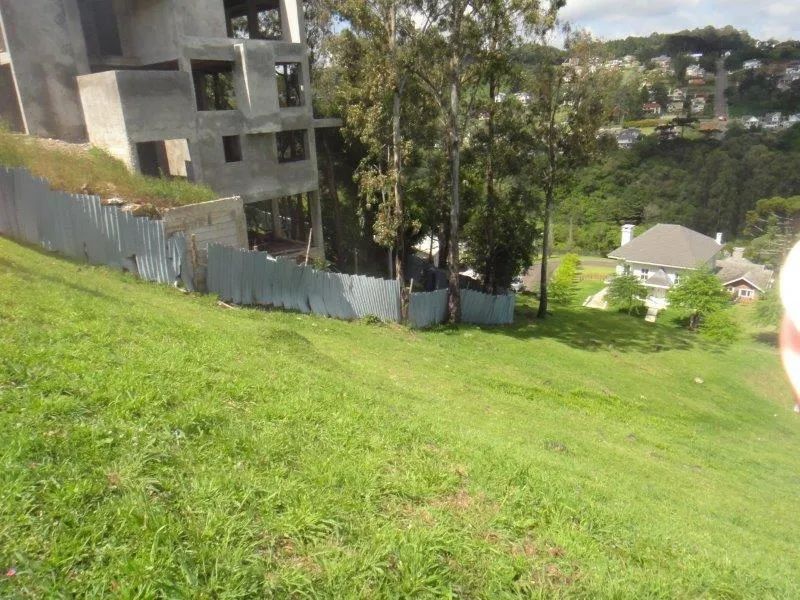 Terreno - Bairro Alphaville - Foto 4