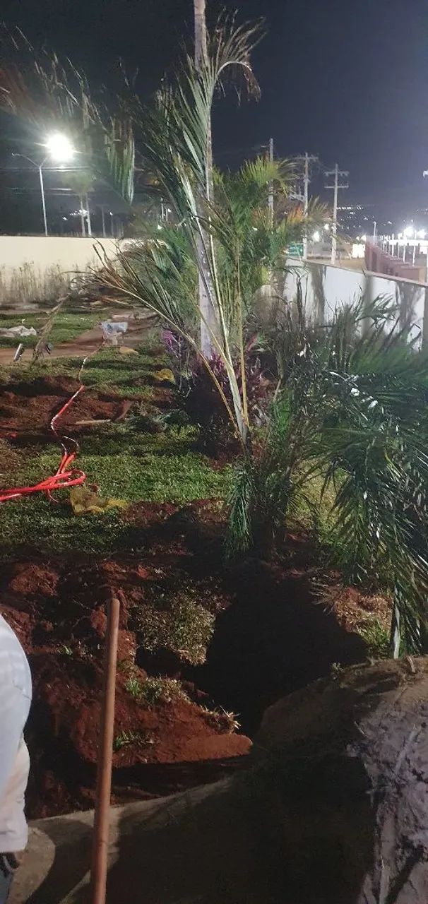 Jardinagem completa