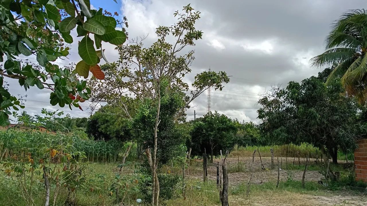 Vendo lotes em Maruim/SE - Foto 3