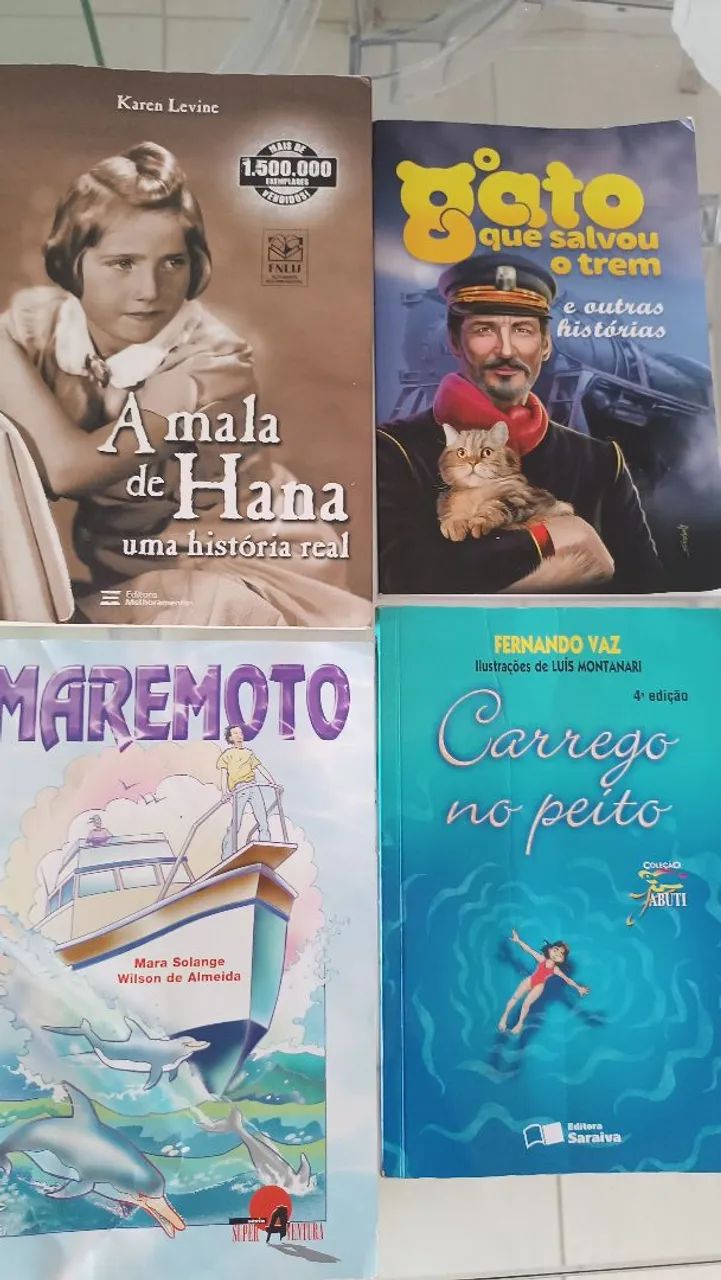 Livros literários 6 ano adventista 