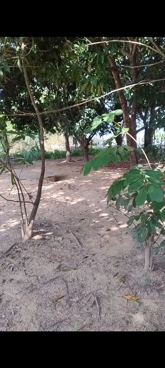 Sítio, rancho,represa três Marias 155.000.00 - Foto 3