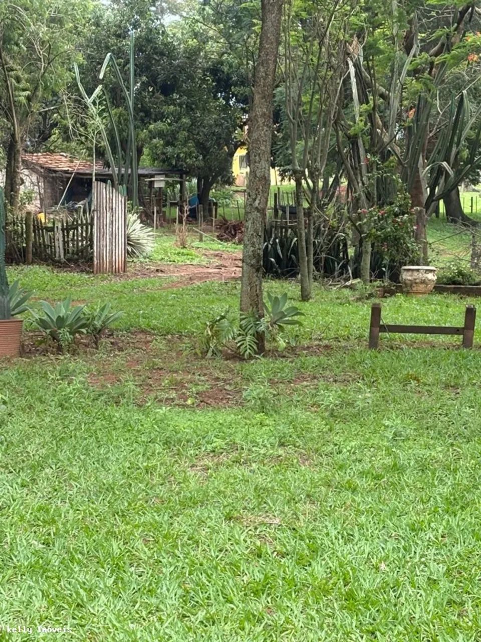 Chácara para Venda em Martinópolis / SP no bairro Rural - Foto 6