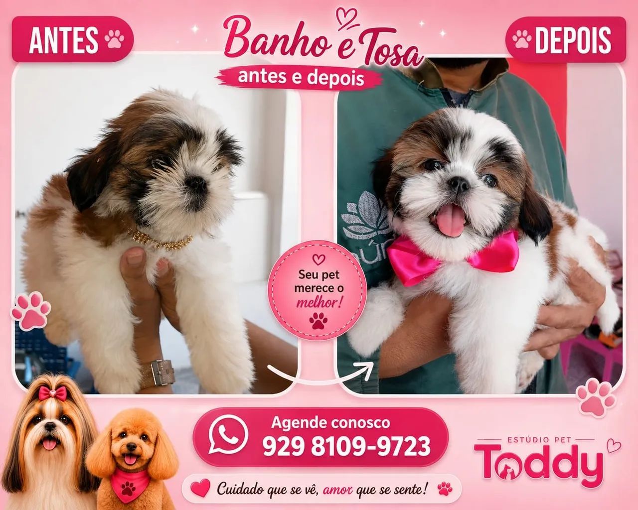 Banho pet ? - Foto 4