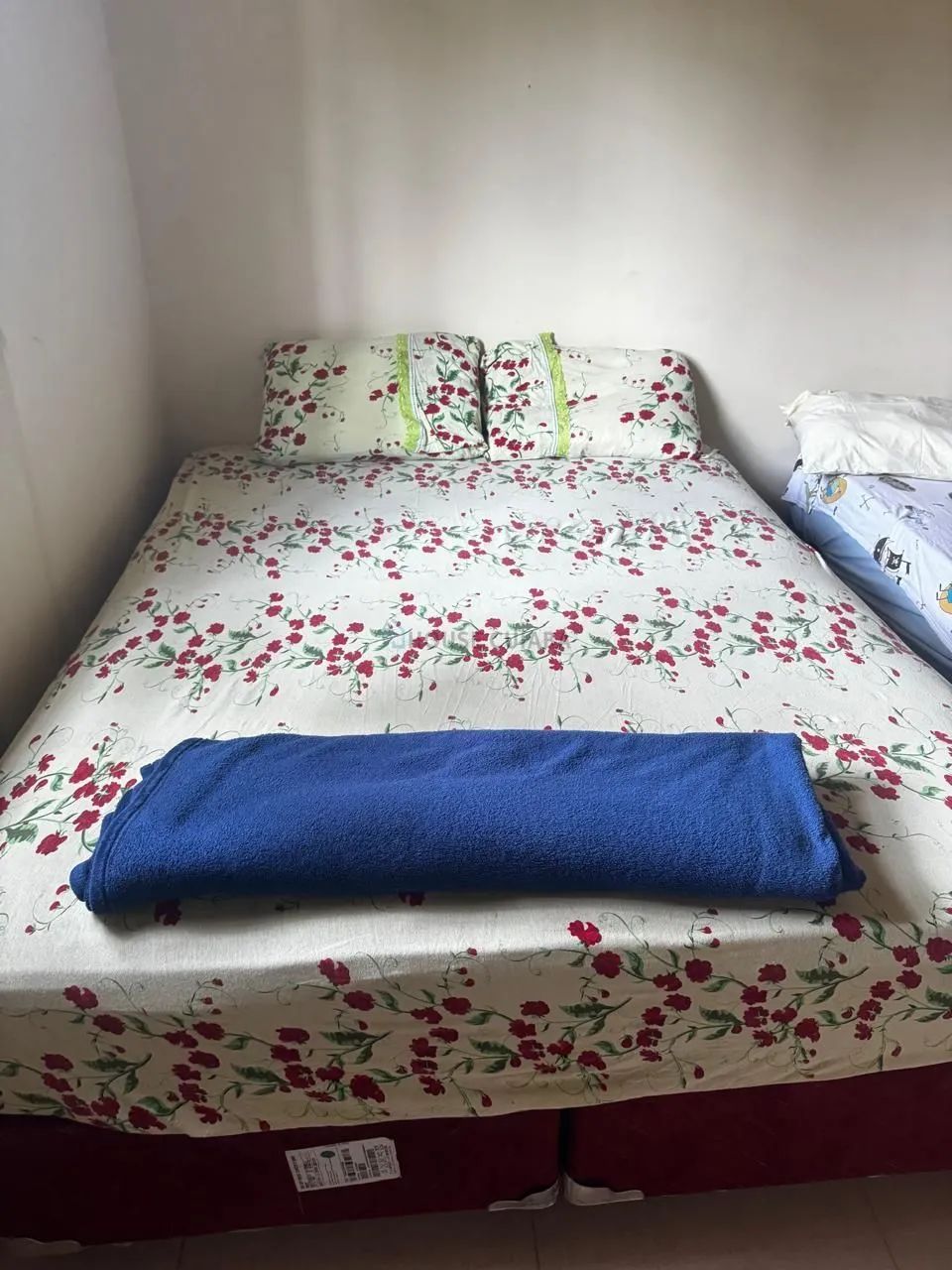 VENDO  PESQUEIRO COM CASA MOBILIADA | REGIÃO DO BARRANCO ALTO/MT - Foto 5