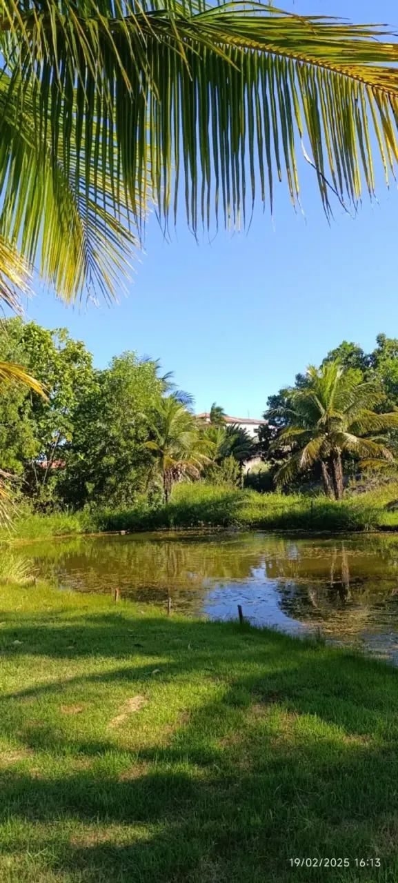 Vende-se lindo sítio em Piúma ES - Foto 3