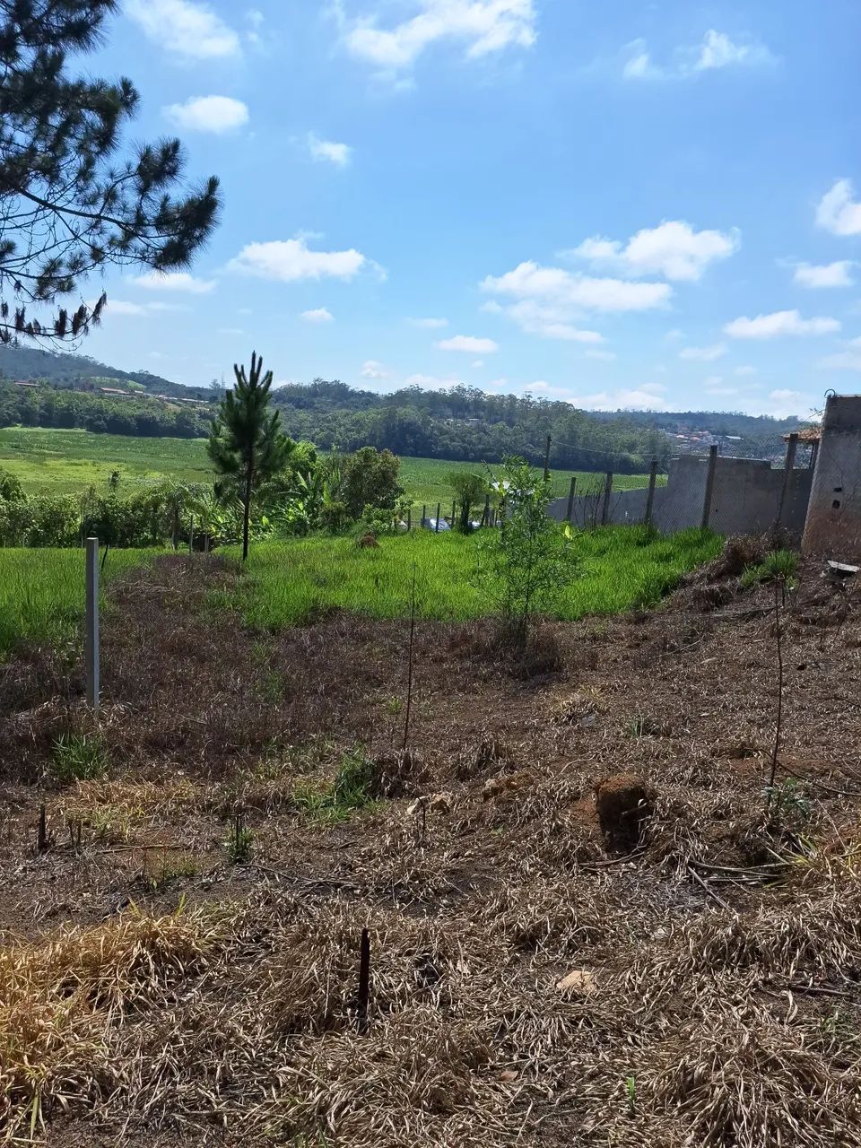 Terreno fundo para represa - Foto 2