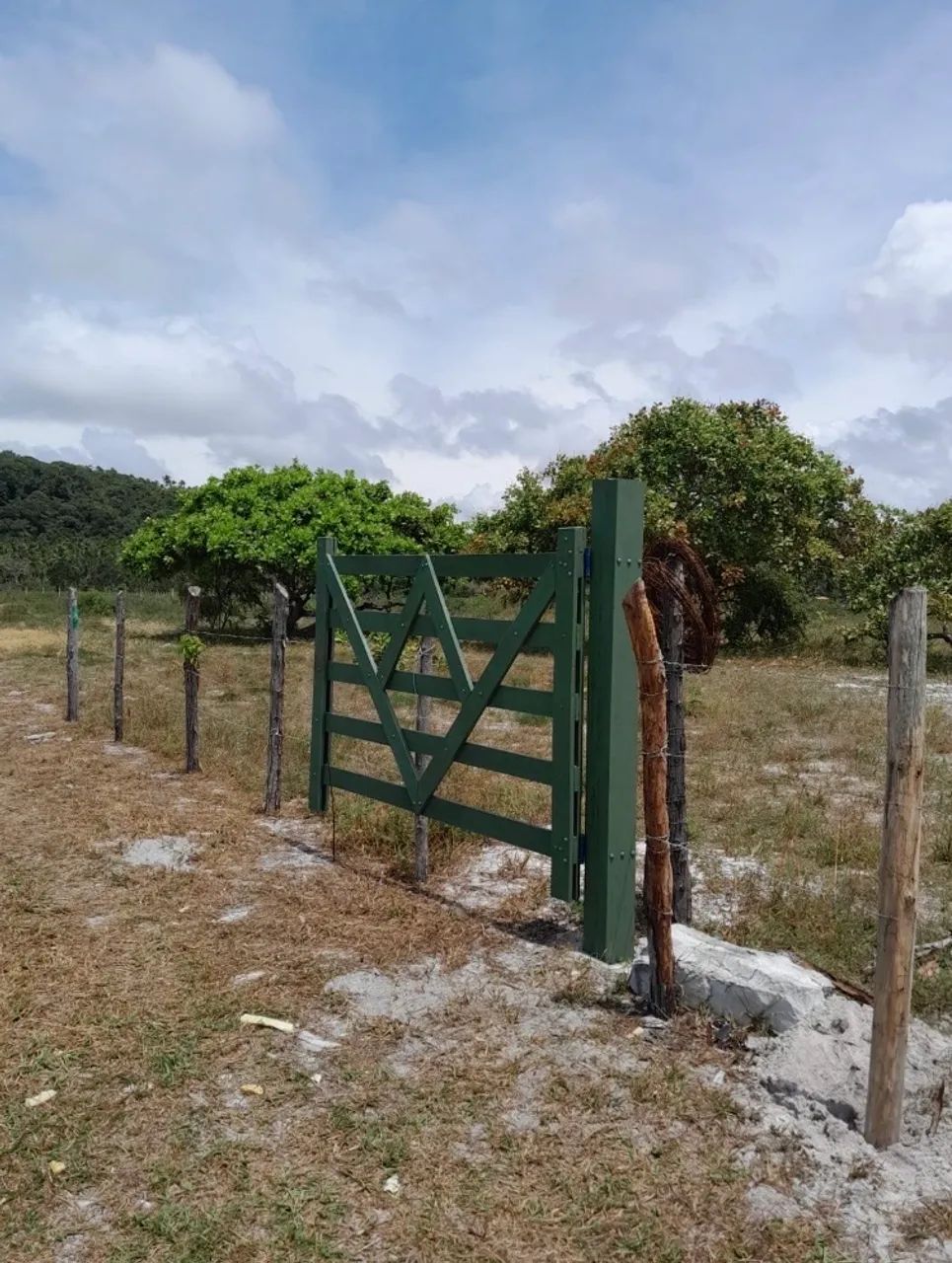 Vendo Lotes - Foto 4
