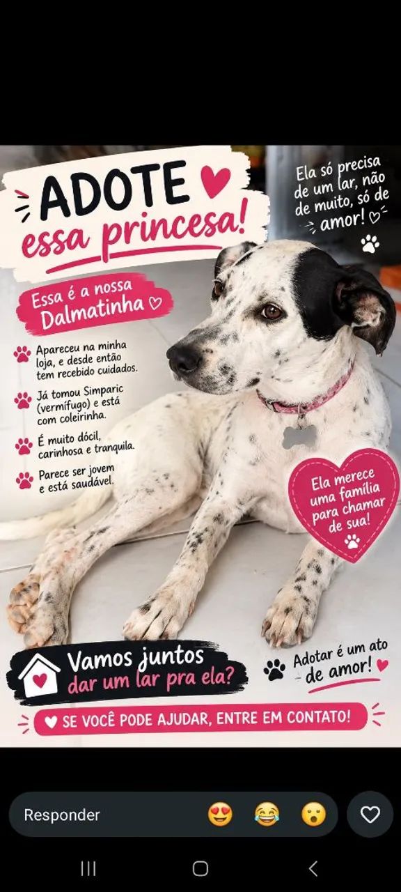 Adoção  responsável 