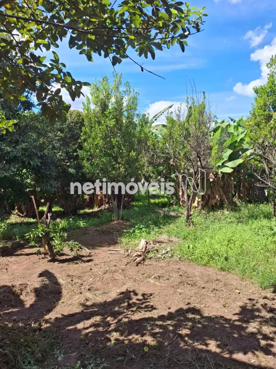 Venda Casa Ascenção Pará de Minas - Foto 3