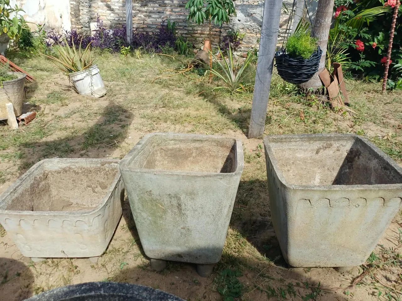 Vasos de plantas  - Foto 2