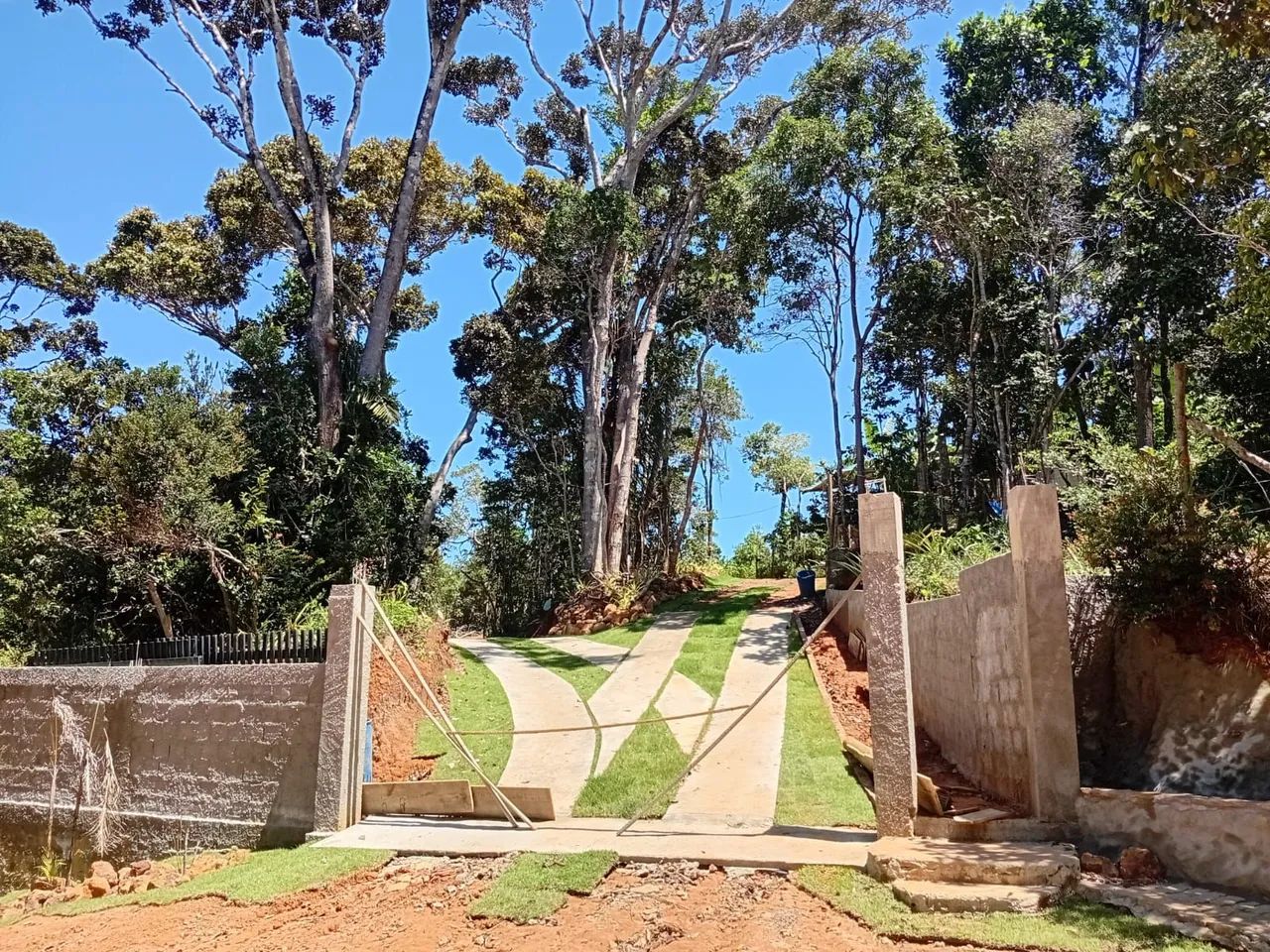 Foto - Mata de São João - 