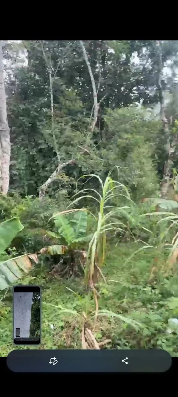 Oportunidade Chácara c/ Casa e riacho - Foto 2
