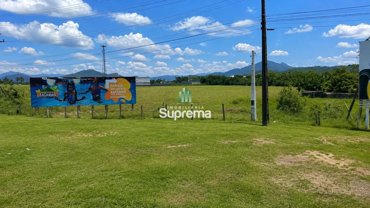 TERRENO NA BR101 E ROD ANTONIO HEIL - Foto 3