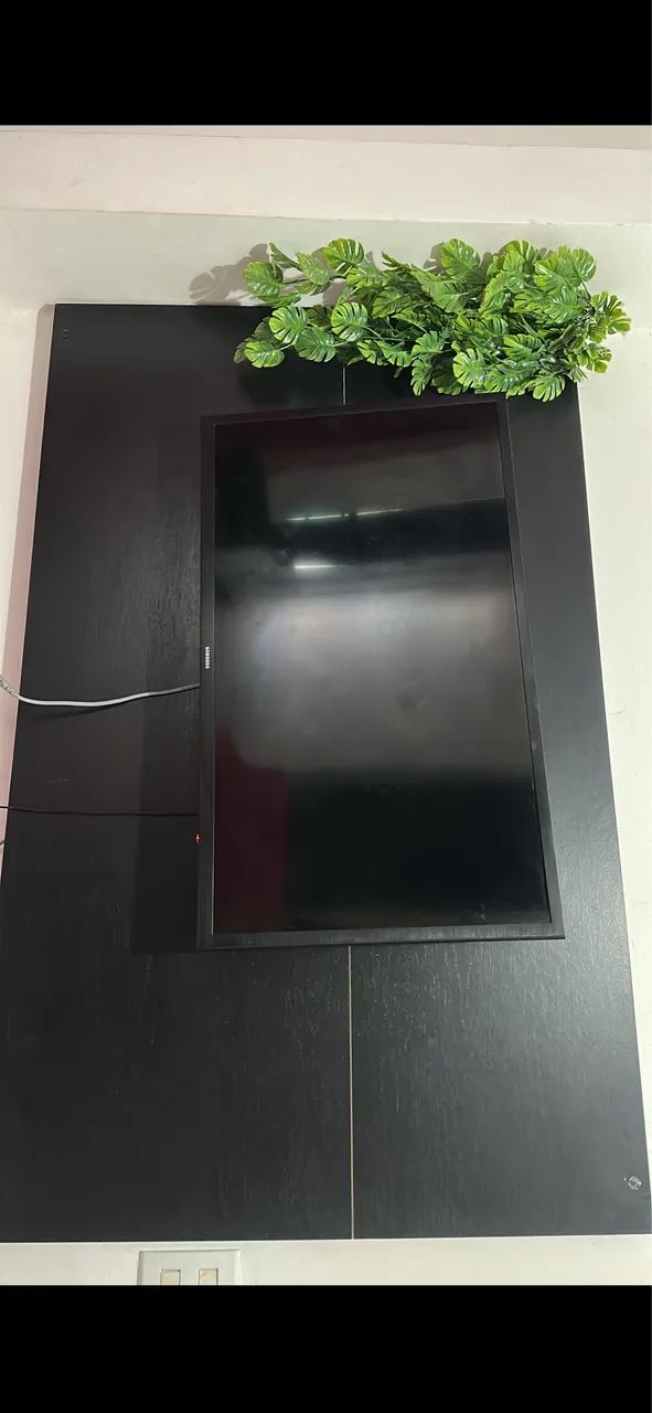 TELEVISÃO