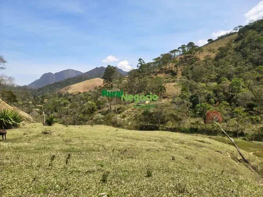 SÍTIO COM BELA TOPOGRAFIA E RIACHO NO PASSA VINTE EM CRUZEIRO-SP - Foto 2