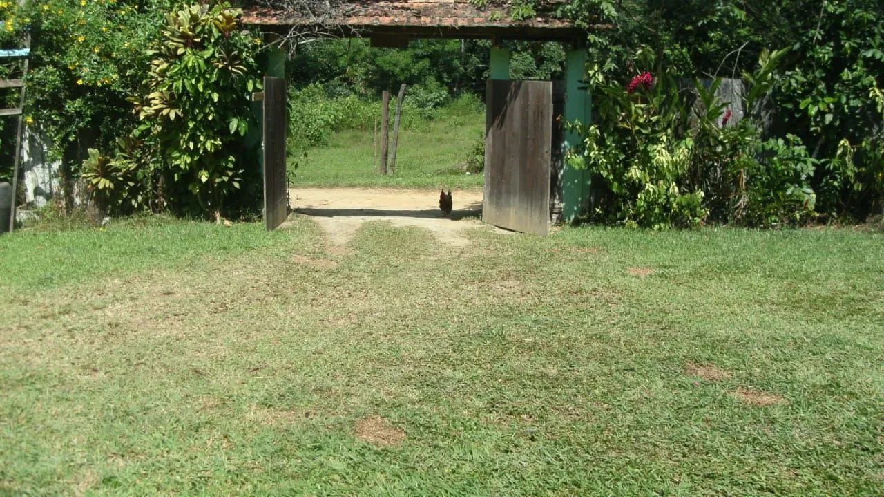 Aluguel ou arrendamento - Foto 2